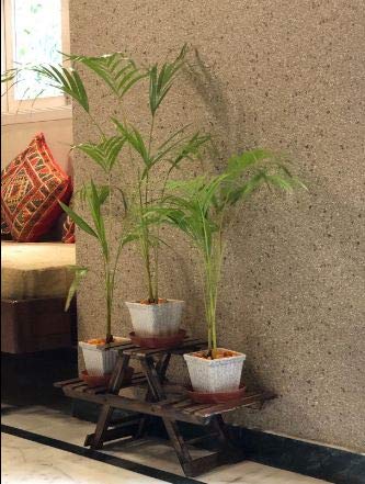 Wooden Plant Stand Pot stand Planter stand