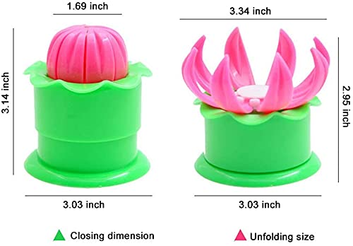 Plastic Momos Dumpling Maker Dough Press Mould Shapes Dumpling Mold Momo Mold Dough Press Plastic Dumpling Maker Momo Maker Set Dumpling Shaper Dumpling Mould Momos Dough Cutter